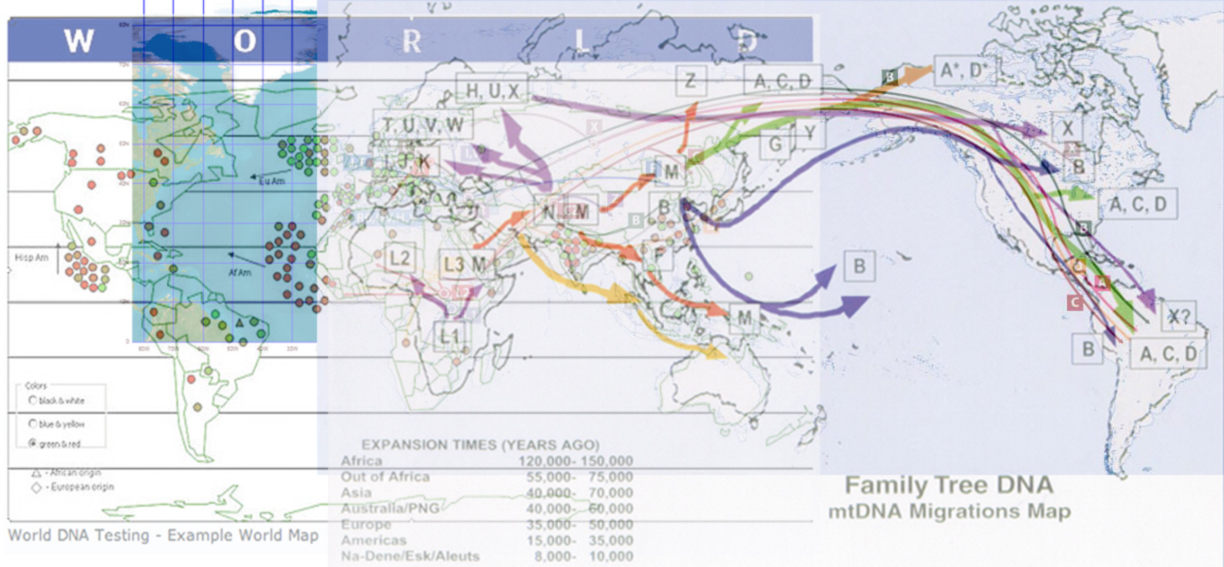 Gene Maps Composite