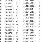 SELF PORTRAIT at RAUM № 2