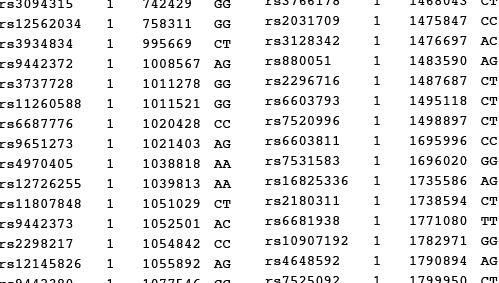 SELF PORTRAIT at RAUM № 2